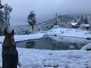 December Snow