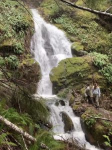 Our waterfall at Alpenglow Farms