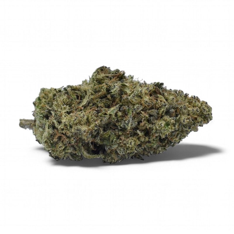 Mule Fuel