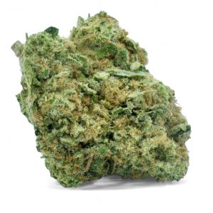 Blue Dream Santa Cruz Cut