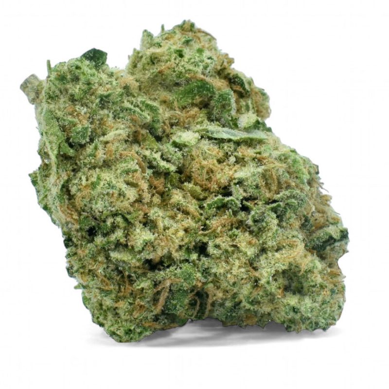 Blue Dream Santa Cruz Cut