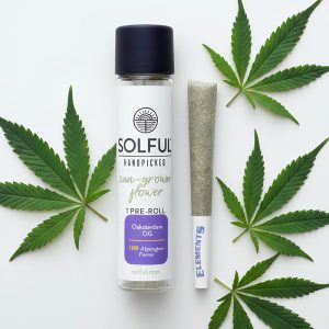 Oaksterdam OG Single