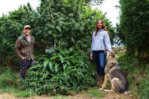 How we grow